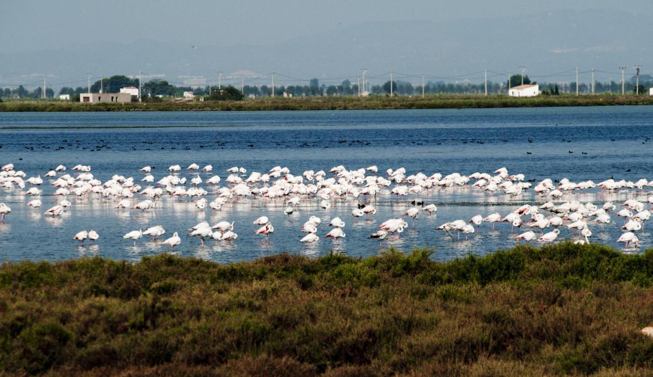 Los Pelicanos Миами-Плайя Экстерьер фото